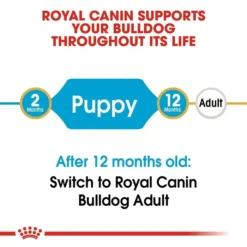 Royal Canin Bulldog Puppy Dog Food 12Kg 11 Royal Canin Bulldog Puppy Dog Food 12Kg -Dog food Sales Shop rc bhn puppybulldog cv eretailkit 1