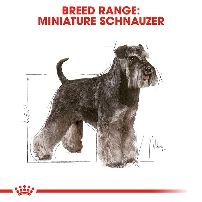 Royal Canin Miniature Schnauzer Dog Food 3kg 4 Royal Canin Miniature Schnauzer Dog Food 3kg - Image 2