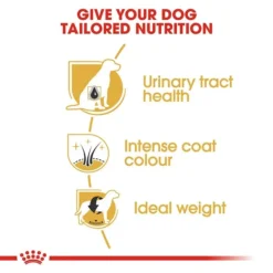 Royal Canin Miniature Schnauzer Dog Food 3kg 10 Royal Canin Miniature Schnauzer Dog Food 3kg -Dog food Sales Shop rc bhn schnauzer cv eretailkit 3