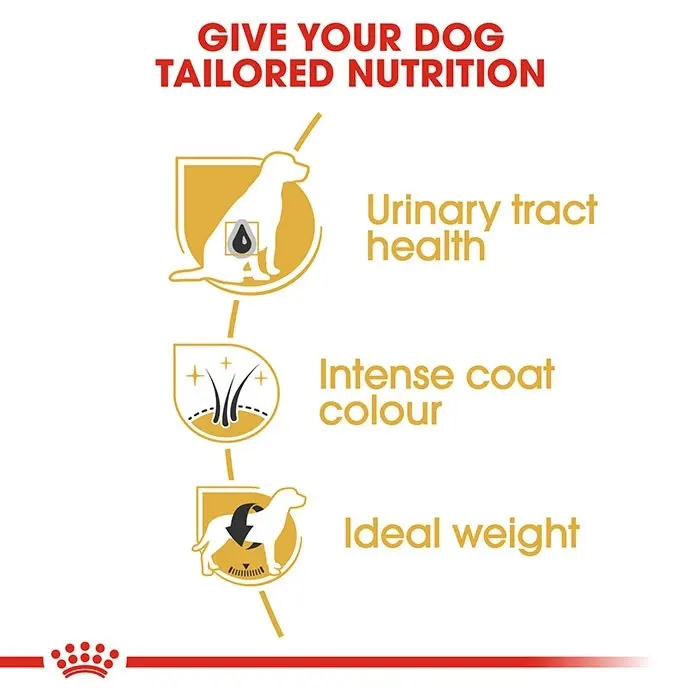 Royal Canin Miniature Schnauzer Dog Food 3kg 5 Royal Canin Miniature Schnauzer Dog Food 3kg - Image 3