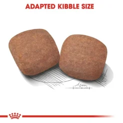 Royal Canin Giant Adult Dog Food 15kg -Dog food Sales Shop rc shn adultgiant cv eretailkit 3