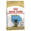 Royal Canin German Shepherd Puppy Dog Food 12kg 2 Royal Canin German Shepherd Puppy Dog Food 12kg -Dog food Sales Shop royal canin german shepherd puppy 2